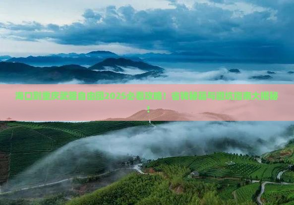 海口到重庆武隆自由团