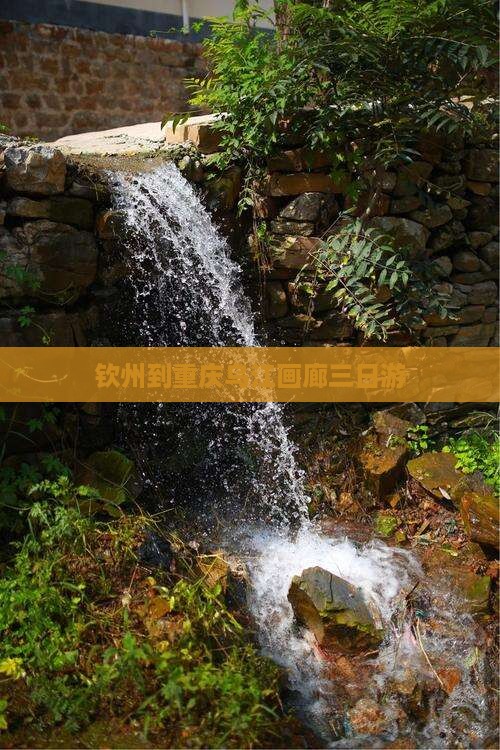 钦州到重庆乌江画廊三日游