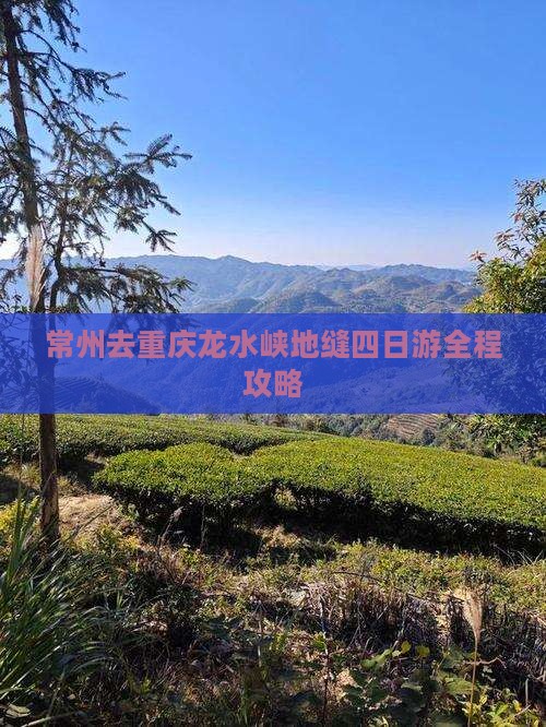 常州去重庆龙水峡地缝四日游