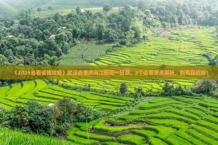 武汉去重庆乌江画廊一日