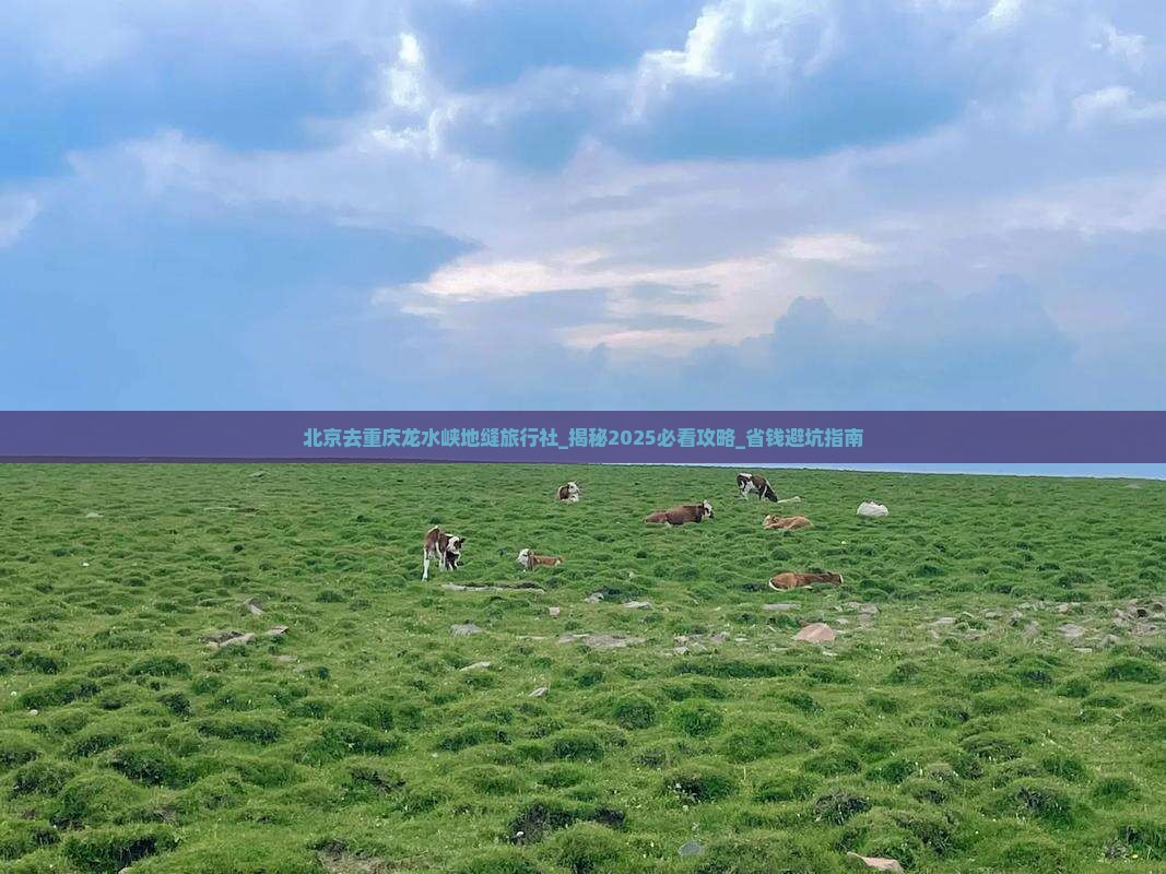北京去重庆龙水峡地缝旅行社