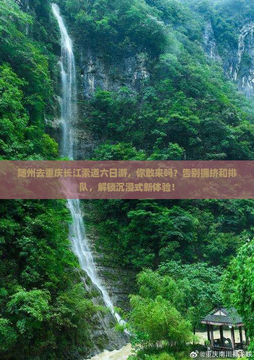 随州去重庆长江索道六日游