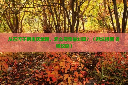 石河子到重庆武隆门票