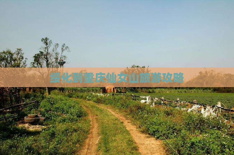 绥化去重庆仙女山景点
