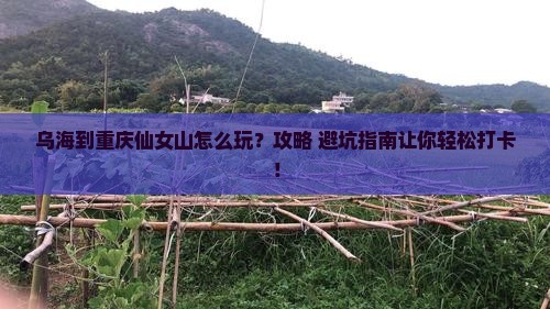 乌海到重庆仙女山旅游