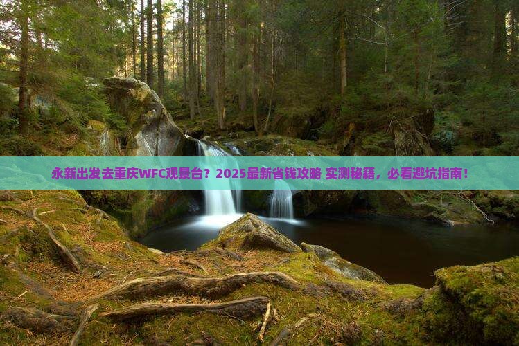 永新去重庆wfc观景台门票
