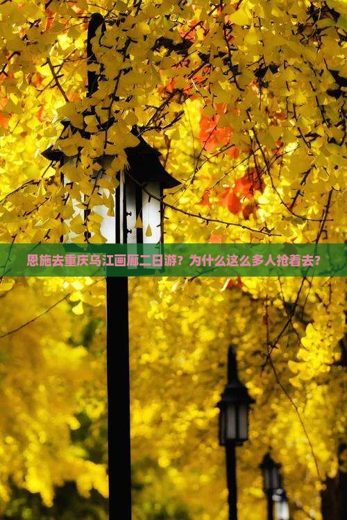 恩施去重庆乌江画廊二日游