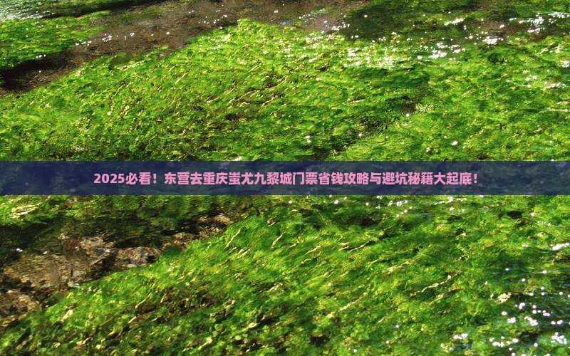 东营去重庆蚩尤九黎城门票