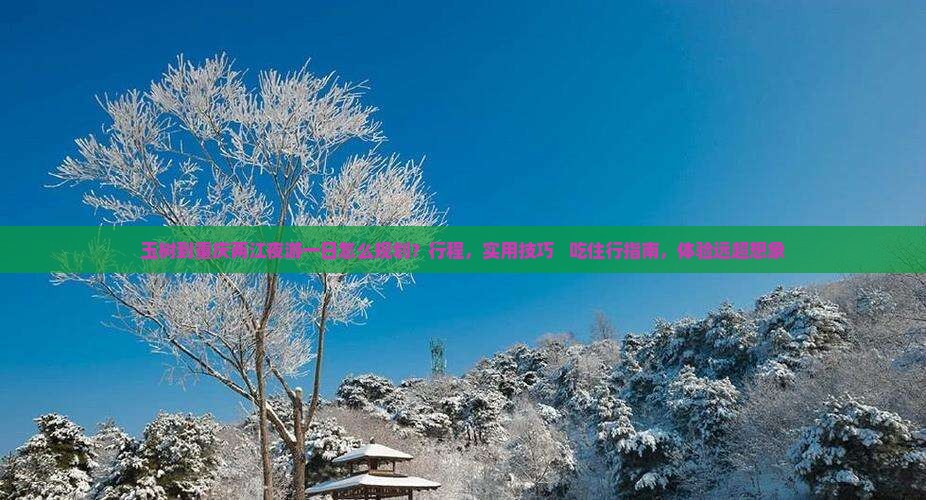 玉树到重庆两江夜游一日