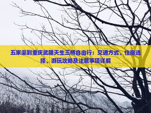 五家渠到重庆武隆天生三桥自由行