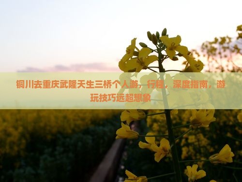 铜川去重庆武隆天生三桥个人游