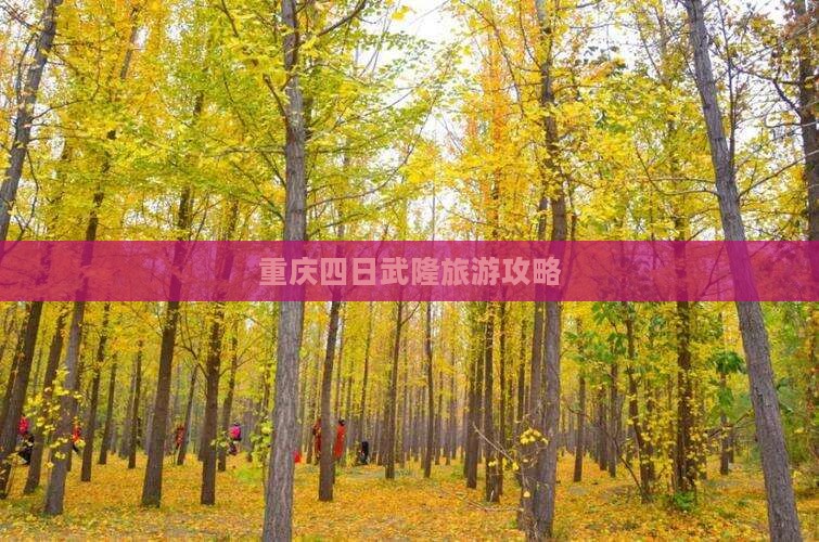 十月到重庆武隆四日游