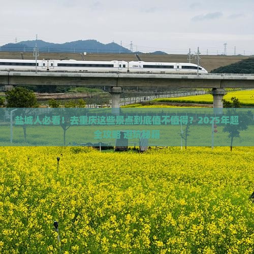 盐城去重庆景点