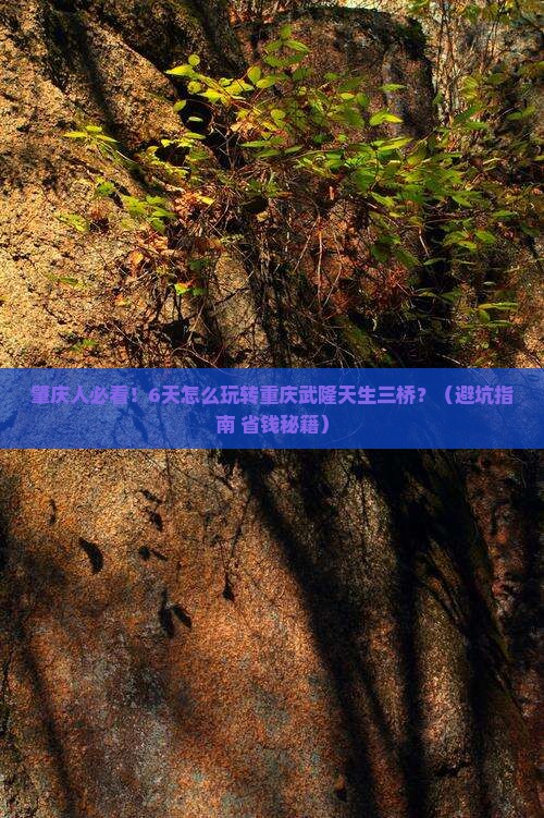 肇庆去重庆武隆天生三桥六日游