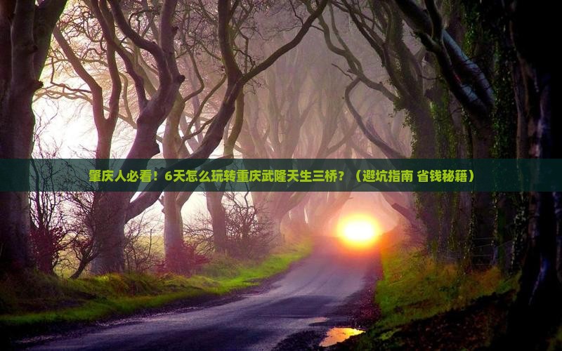 肇庆去重庆武隆天生三桥六日游
