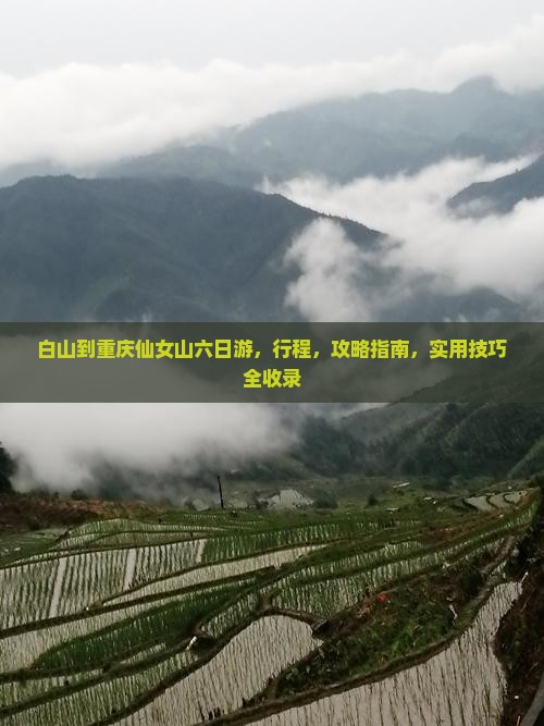 白山到重庆仙女山六日游