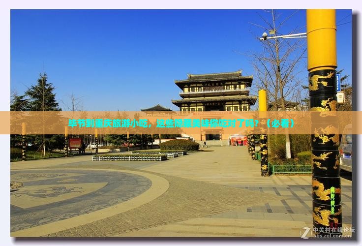 毕节到重庆旅游小吃