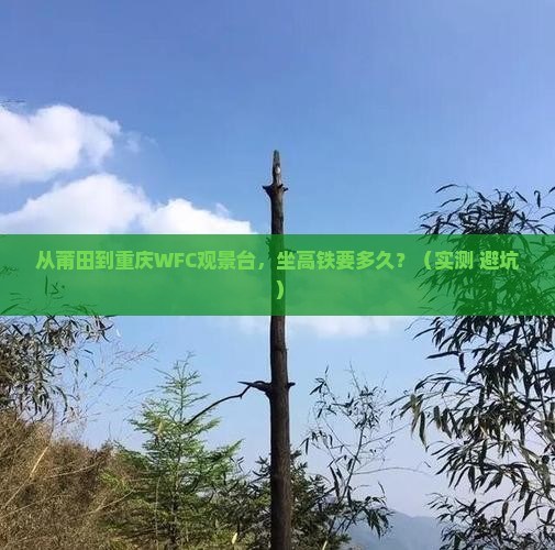 莆田去重庆wfc观景台个人游