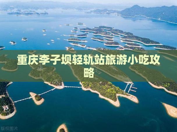 陇南到重庆李子坝轻轨站旅游小吃