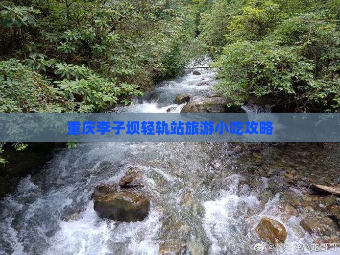 陇南到重庆李子坝轻轨站旅游小吃