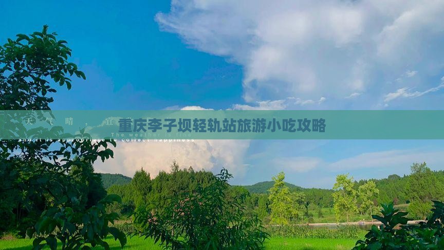 陇南到重庆李子坝轻轨站旅游小吃