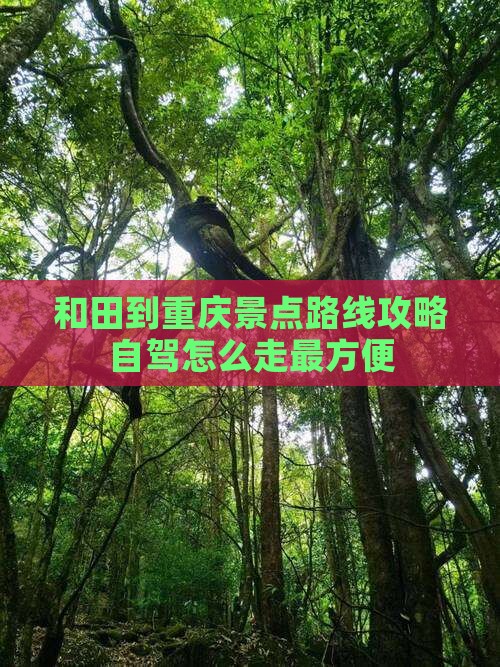 和田到重庆景点