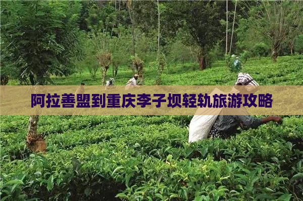 阿拉善盟到重庆李子坝轻轨站景点