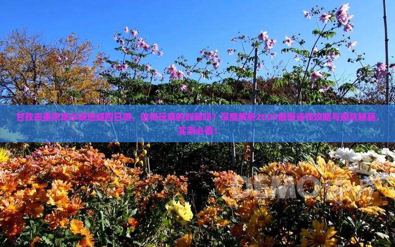 甘孜去重庆龙水峡地缝四日游