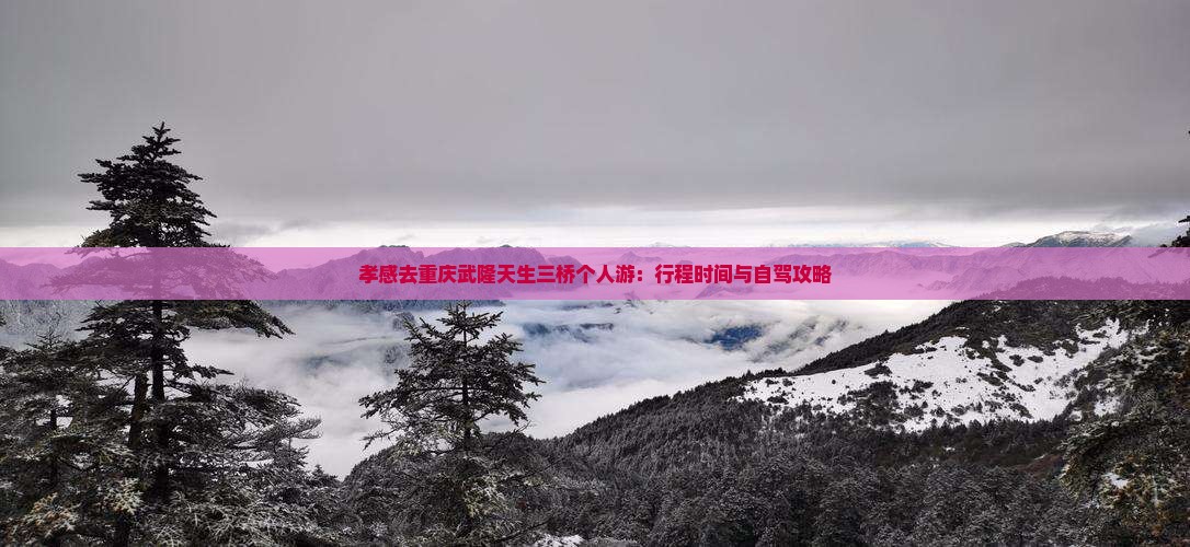 孝感去重庆武隆天生三桥个人游