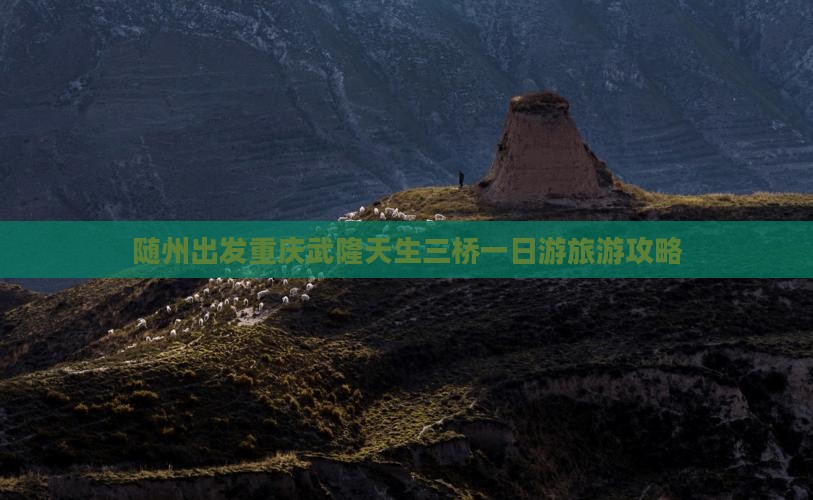 随州到重庆武隆天生三桥团体旅游