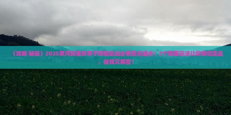黑河到重庆李子坝轻轨站景点
