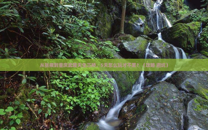 张掖去重庆武隆天生三桥哪里玩
