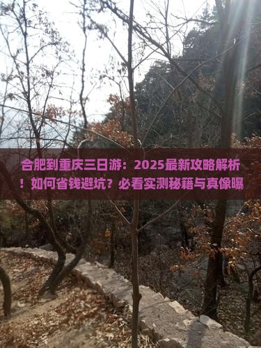 合肥到重庆三日游