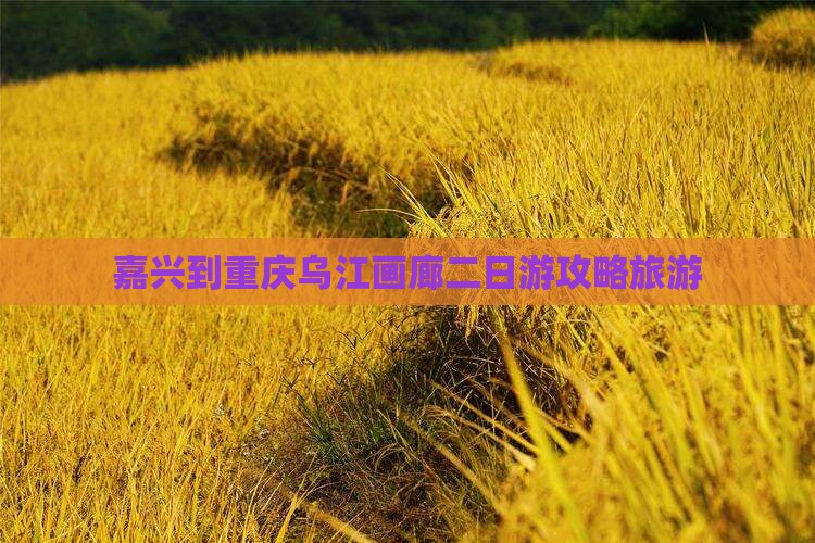 嘉兴到重庆乌江画廊二日游