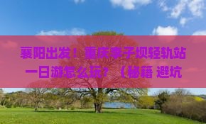 襄阳到重庆李子坝轻轨站一日