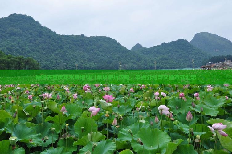 德阳去重庆龙水峡地缝门票