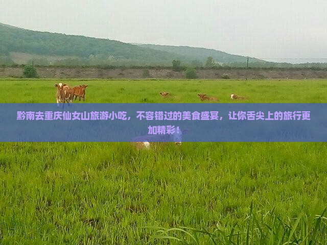 黔南去重庆仙女山旅游小吃