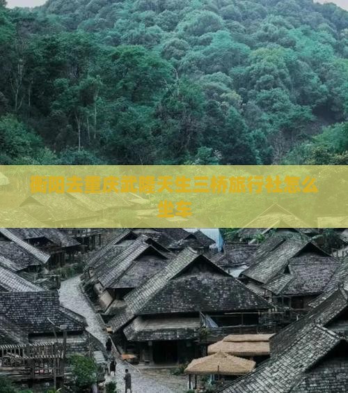 衡阳去重庆武隆天生三桥旅行社