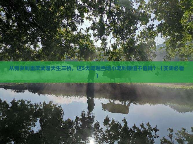 新乡到重庆武隆天生三桥旅游小吃