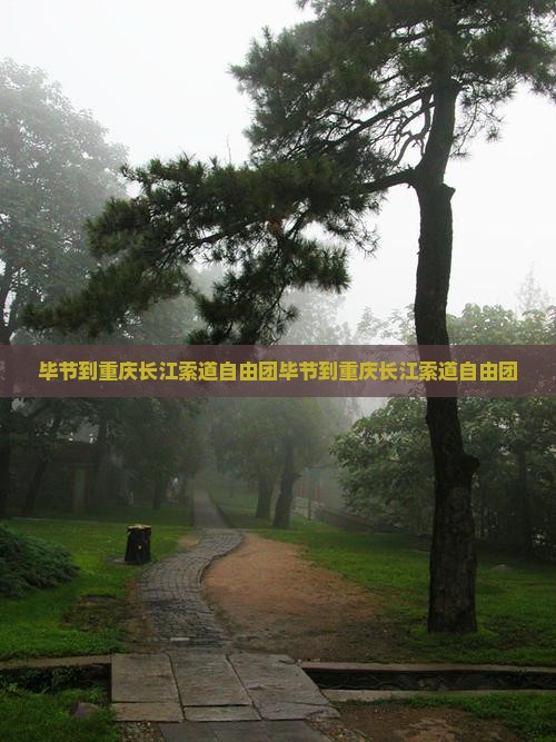 毕节到重庆长江索道自由团