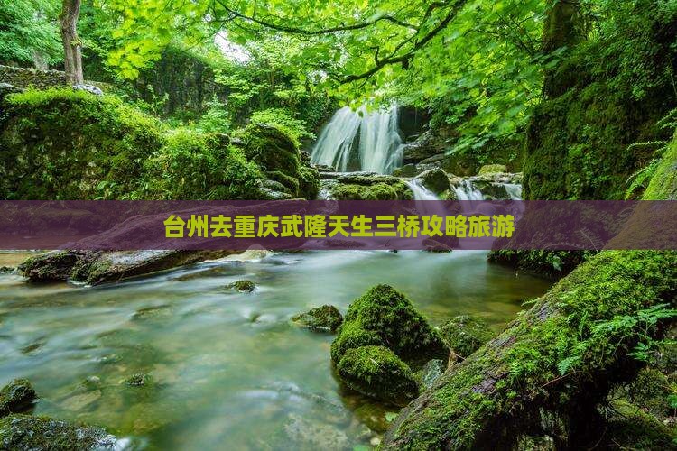 台州去重庆武隆天生三桥个人游
