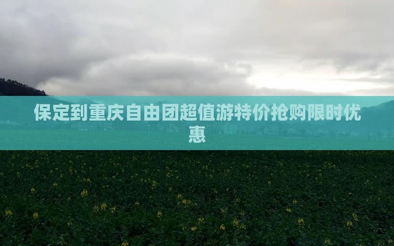保定到重庆自由团