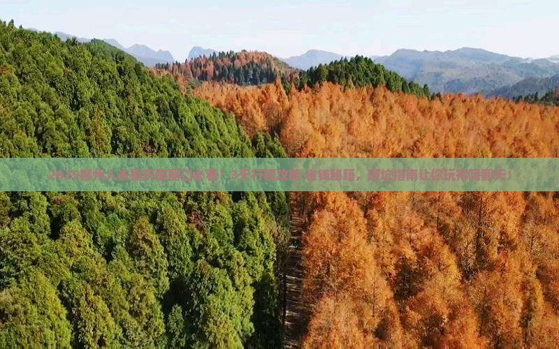 郴州去重庆磁器口旅游