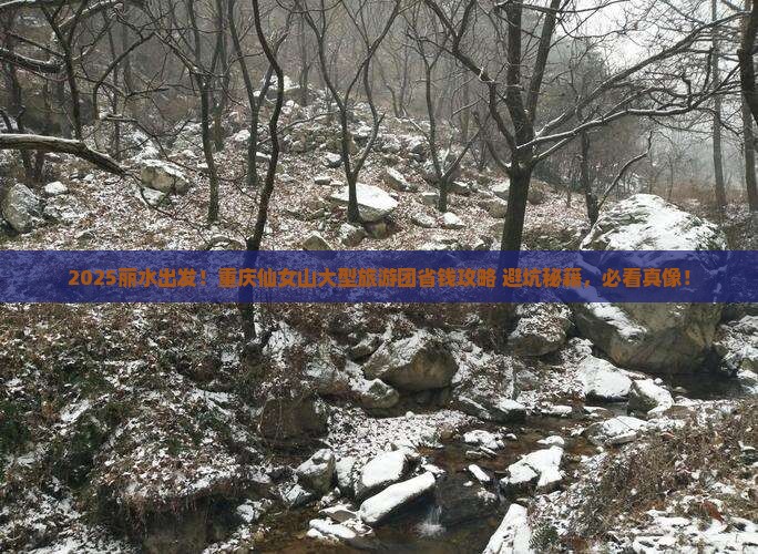丽水到重庆仙女山大型旅游团