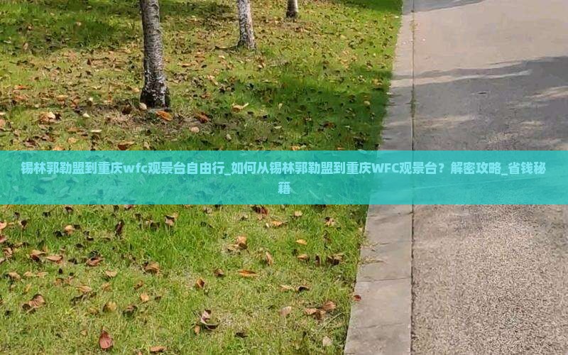 锡林郭勒盟到重庆wfc观景台自由行