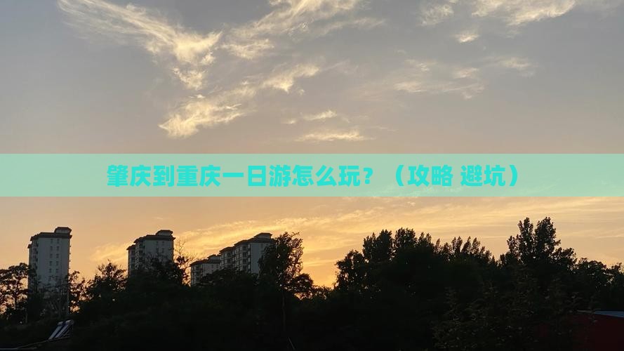 肇庆到重庆一日