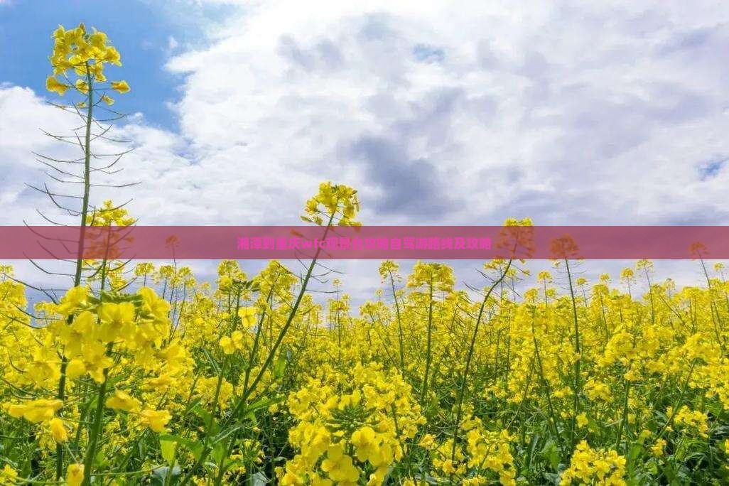湘潭到重庆wfc观景台攻略