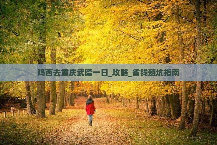 鸡西去重庆武隆一日