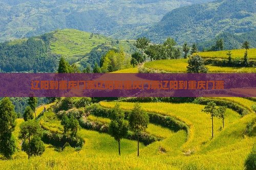 辽阳到重庆门票