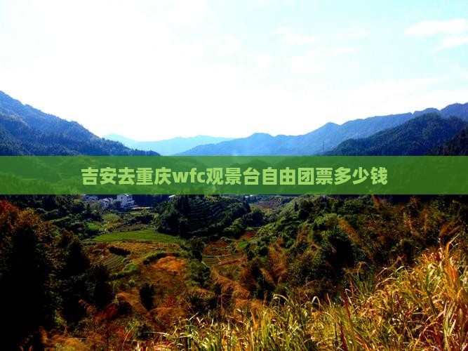 吉安去重庆wfc观景台自由团
